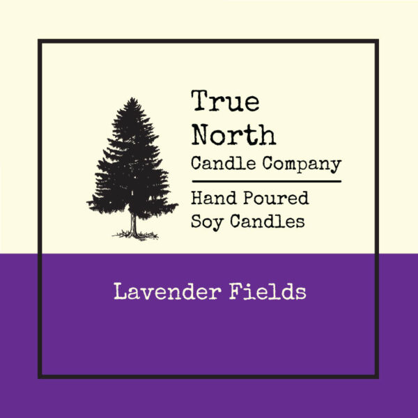 Lavender Fields