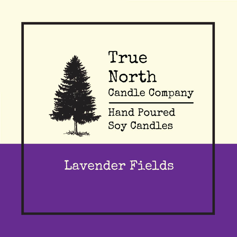 Lavender Fields