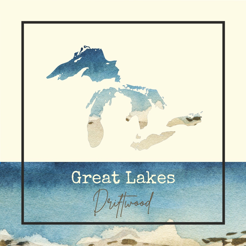 Great Lakes Driftwood