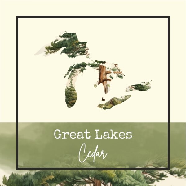 Great Lakes Cedar