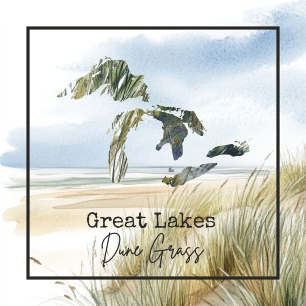 Great Lakes Dune Grass
